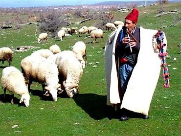 ferma coban: Çoban, 50 yaş, 1 ildən az təcrübə — 1