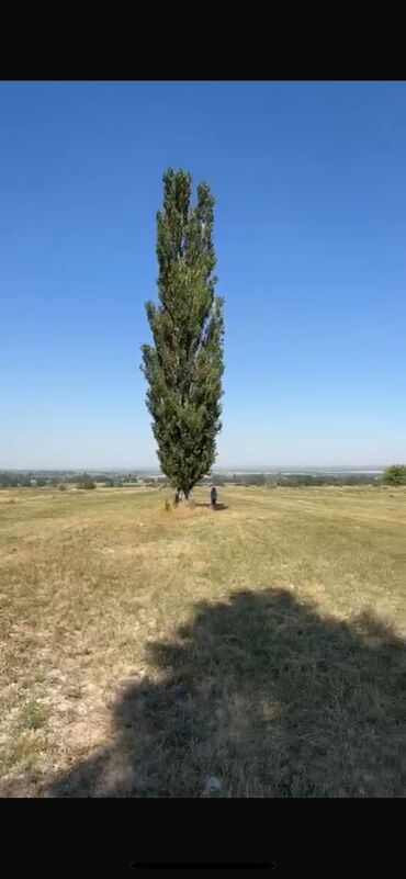 дома в районе аламединского рынка: 120 соток, Для сельского хозяйства, Договор купли-продажи, Договор долевого участия
