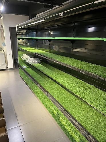 Муздатуучу жабдуулар: Продам длинный магазинный холодильник, полностью рабочий. Сами — 3