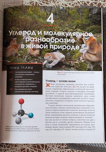Книги и журналы: Biologiya sahəsində tamamilə yeni müasir kitab, 2 cild, sərt üzlü — 4