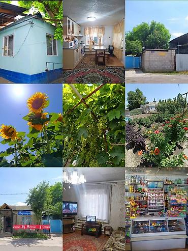 дом с бизнесом бишкек: Срочно продаётся дом в Чуйской области, г. Каинда по ул. Джуматаева — 1