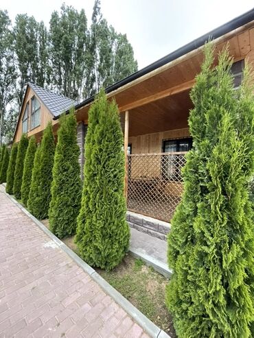 ыссык кол отдых: Номер, Уютный дворик Кара-Ой (Долинка), Балдар аянтчасы, Унаа токтотуучу жай, унаа туруучу жай, Бассейн