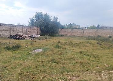 torpaq deşən: 6 sot, Tikinti, Mülkiyyətçi, Kupça (Çıxarış) — 4