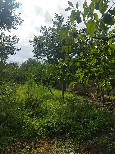 аренда квартира студия: 5 комнат, Новостройка, 250 м² — 5