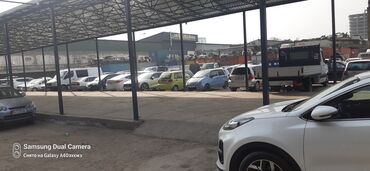 Другие садовые инструменты и инвентарь: Другие садовые инструменты и инвентарь — 9