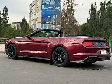 Ford: Ford Mustang: 2018 г., 2.3 л, Автомат, Бензин, Кабриолет — 6