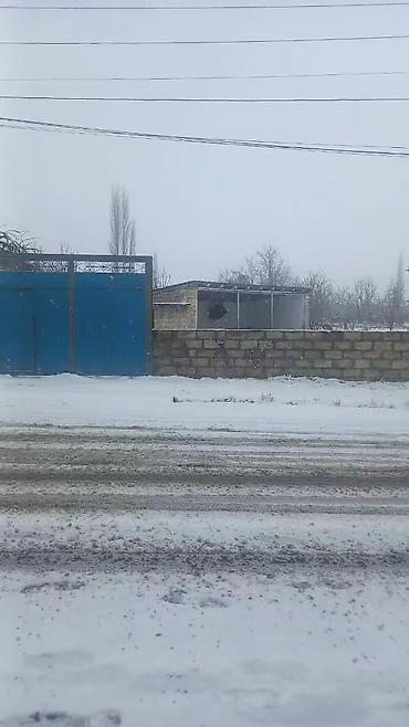 Torpaq sahələrinin satışı: 65 sot, Kənd təsərrüfatı — 5