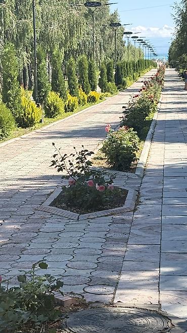 евразия отдых: Аренда квартиры на Иссык-Куле, Asia Palace, Сары-Ой, 3 места, Цена Целиком за жилье — 7