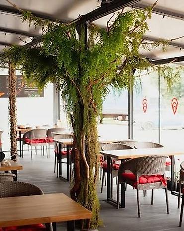 Başqa xidmətlər: Green House Azerbaijan. Dekor interyer Kafe×restoranlar üçün — 16