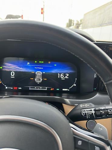 Kia: Kia Sorento: 2020 г., 1.6 л, Автомат, Гибрид, Кроссовер — 10