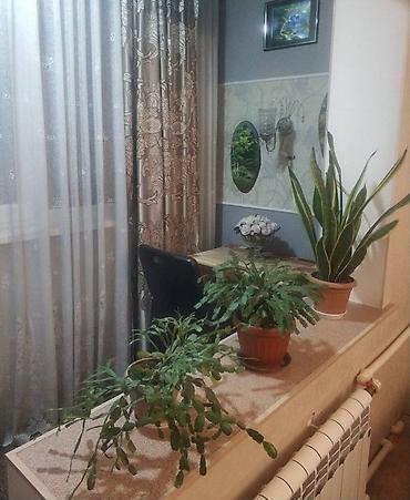 46: 1 комната, 46 м², Кок-Жар мкр Индивидуалка, 1 этаж, Евроремонт — 3