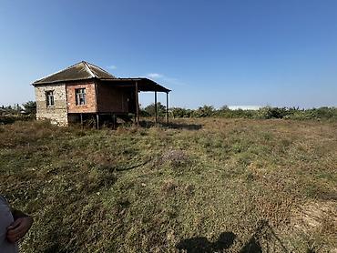 binə atçılıq torpaq: 23 sot, Kənd təsərrüfatı, Mülkiyyətçi, Kupça (Çıxarış) — 3