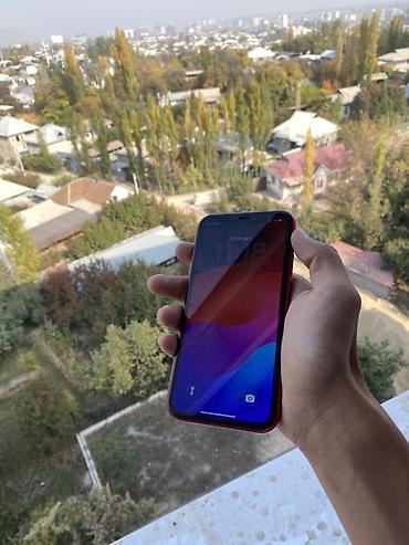 айфон 11 купить дешево: IPhone 11 (PRODUCT)RED - Цвет: красный (PRODUCT)RED - Экран 6.1" — 1
