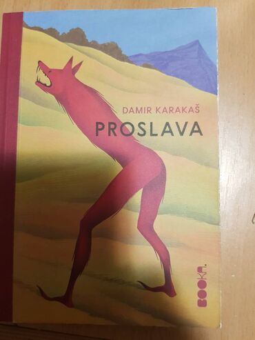 tehnicka knjiga: Proslava - između romana i zbirke priča opisuje segmente iz života