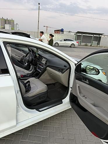 outback 2017: Hyundai Sonata: 2019 г., 2.4 л, Автомат, Бензин, Седан — 10