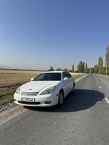 донголок саната: Toyota Windom: 2003 г., 3 л, Автомат, Бензин, Седан — 2