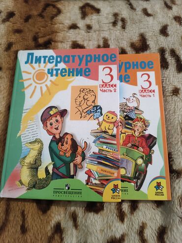 Русский язык и литература: Русская литература, 3 класс, Б/у, Самовывоз