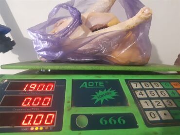 Куры, петухи: Продаю | Куры, Петух | Домашняя | На забой, Для разведения, Несушки — 16