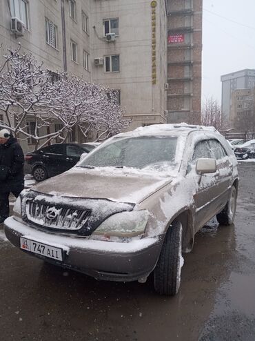 Lexus: Lexus RX: 2003 г., 3 л, Автомат, Бензин