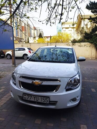 ilkin odenis 1000 azn avtomobil: Chevrolet Cobalt: 1.5 l | 2024 il 12000 km Sedan