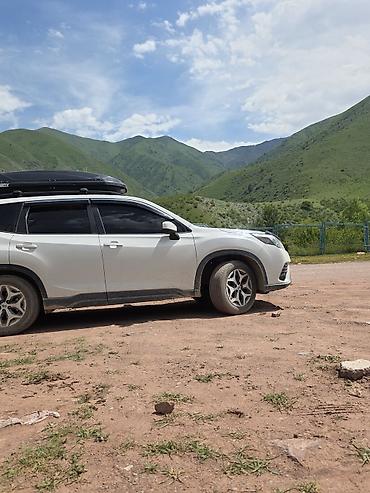 субару аудбек продажа: Subaru Forester: 2021 г., 2.5 л, Вариатор, Бензин, Кроссовер — 4