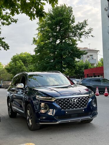 Hyundai: Hyundai Santa Fe: 2018 г., 2.2 л, Автомат, Дизель, Внедорожник