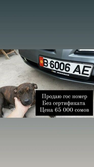 Другой транспорт: Продаю гос номер B6006AE. в своё время покупали за 49 000 сомов. С