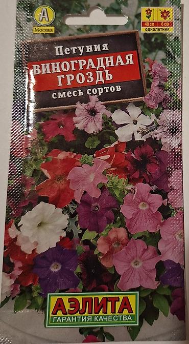 sokoladli gul buketi: Məhsul: AELITA markalı petuniya toxumları – rəngli qarışıqlar — 4