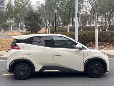 BYD: BYD Seagull: 2023 г., Электромобиль, Хэтчбэк — 9