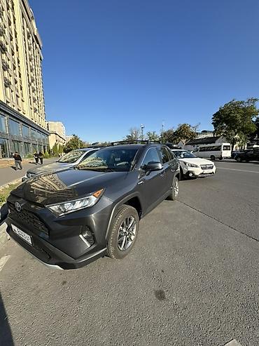 Toyota: Toyota RAV4: 2019 г., 2.5 л, Вариатор, Гибрид, Кроссовер — 1