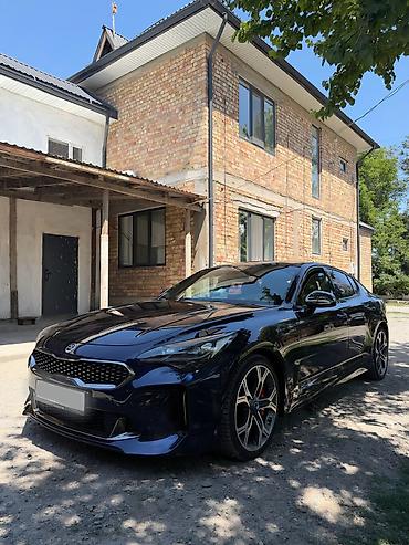 киа стрингер: Kia Stinger: 2019 г., 2 л, Автомат, Бензин, Лифтбек — 1