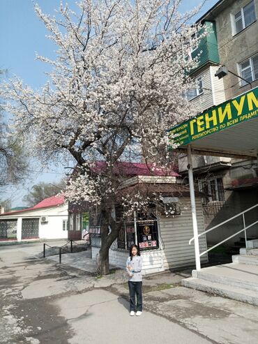 земельный участок в караколе: 53 соток, Айыл чарба үчүн, Кызыл китеп