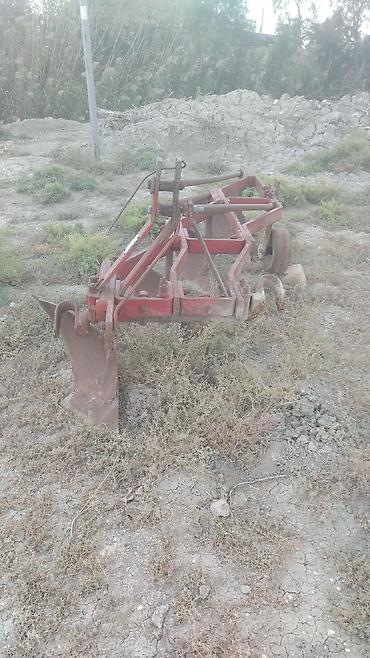 kotanlar traktor: 12 lik unvan səlyan — 2