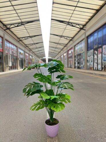 Süni güllər: Daxili və xarici məkanlar üçün nəzərdə tutulmuş süni dekorativ ağac -da lalafo.az — 10 Süni güllər: Daxili və xarici məkanlar üçün nəzərdə tutulmuş süni dekorativ ağac — 10