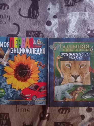 детская книга: Представляем комплект из двух детских энциклопедий, идеально