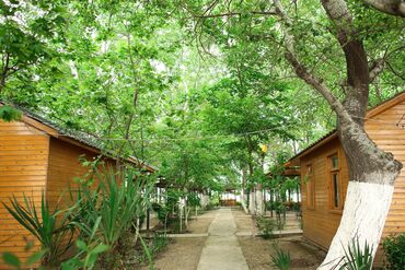 Kommersiya daşınmaz əmlakının satışı: Obyekt İstirahət Mərkəzi satılır 1 hektarda Hacıqabul İpək yolu — 5