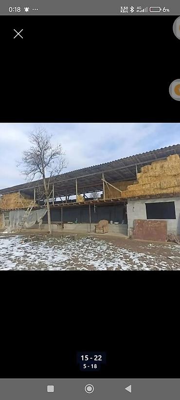 Продажа коттеджей и домов: Продаётся жилой дом г Кара-Балта с палтавка с большим двором и — 4