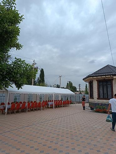 скатеры: Аренда Палатки палатки палатки палатки палатки палатки палатки палатки — 4