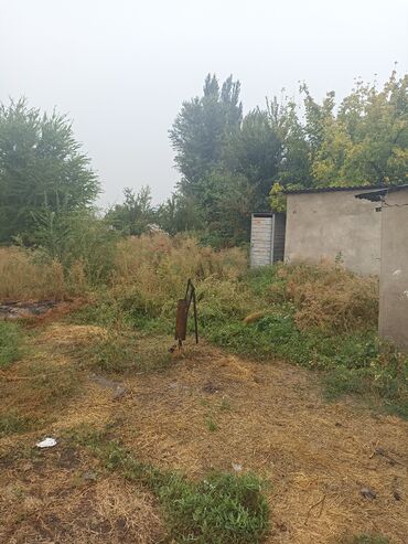 куплю дом новопакровке: Времянка, 40 м², 3 комнаты, Собственник, ПСО (под самоотделку)