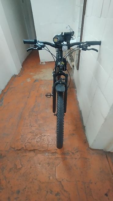 single speed: Горный велосипед, Рама XL (180 - 195 см), Новый — 3