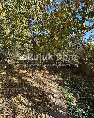4: 2 комнаты, 40 м², 7 соток, Сокулук — 4
