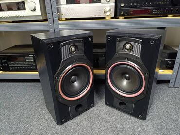 Zvučnici i stereo sistemi: Bowers&Wilkins DM 310 legendarni predstavnik zlatne ere HI-FI — 2