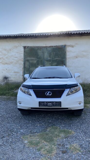 белый лексус: Lexus RX: 2009 г., 3.5 л, Автомат, Бензин