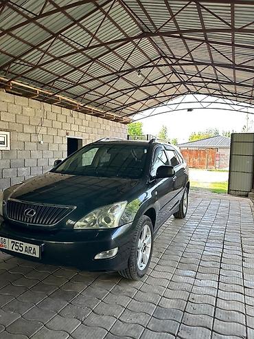 Lexus: Lexus RX: 2003 г., 3 л, Автомат, Бензин, Кроссовер — 9