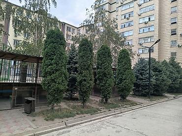 ещё квартиру: 4 комнаты, 110 м², Элитка, 7 этаж, Евроремонт — 5