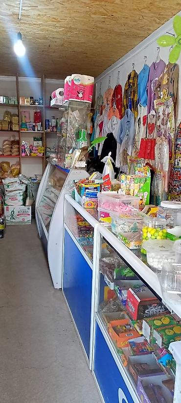 Продажа магазинов: Продаётся дом с действующим магазином.находится в селе вознесеновка,ул — 4