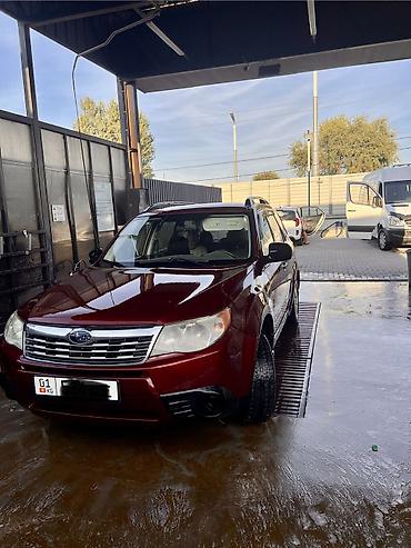 мухобойник: Subaru Forester: 2008 г., 2.5 л, Автомат, Бензин, Универсал — 2