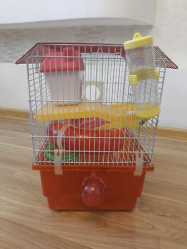 hamster near me: Ev siçanı(xomyak) üçün işlənmiş qab. Su qabi, evi və piləknları — 5