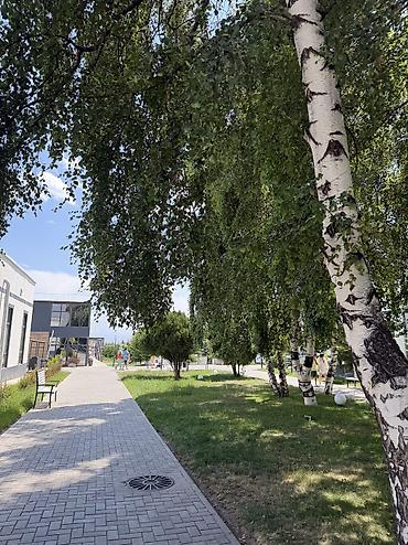 випка каракол: Гостевой дом на Иссык-Куле, Атлантис, Сары-Ой, 4 места — 8