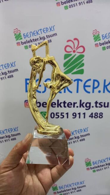 Значки, ордена и медали: ✅ Стеллы на черном хрустале ✅ Футбол ✅ Бильярд ✅ Студент ✅ — 9